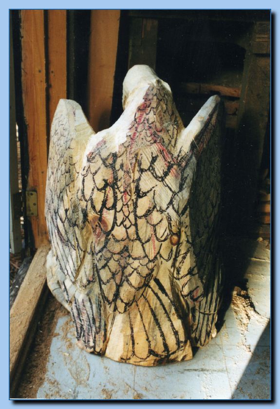 2-30 eagle  perched, half-spread wings-archive-0007
